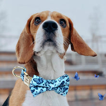 Multidesign Bowtie Dog Collar: Personalized Accessory in multiple colors - CurliTail